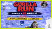 Gorilla Run