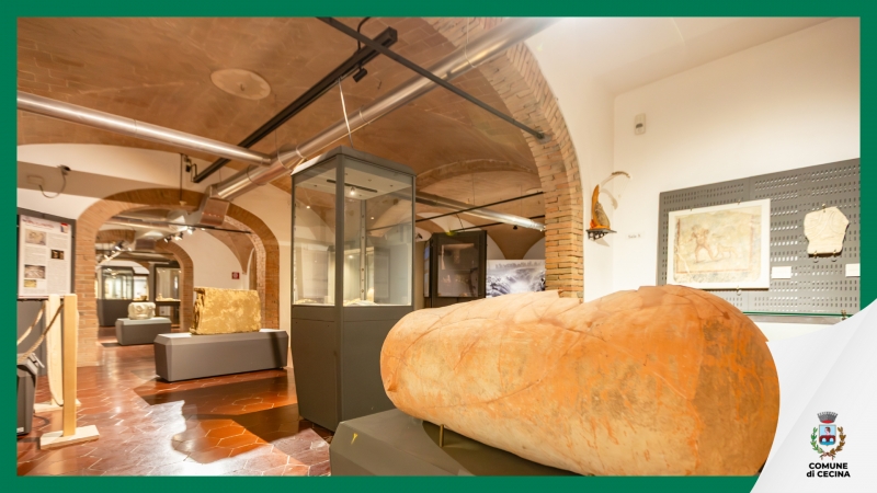 Nuova Offerta Didattica 2026/2027 del Museo e Parco Archeologico