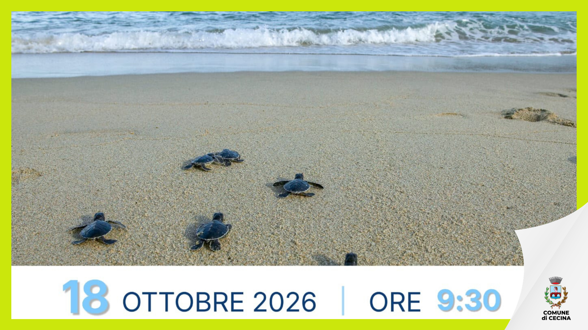 Un mare di inclusione: il 18 ottobre una mattinata tra tartarughe, cavalli e natura